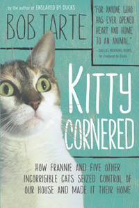 Kitty Cornered Cover