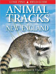 Animal Tracks of New England (Lone Pine Field Guides)