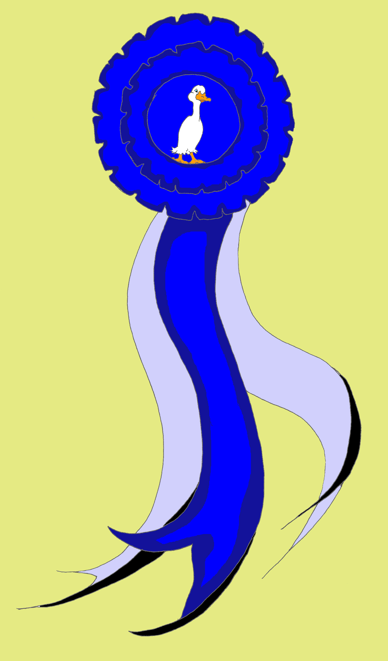 1st ribbon