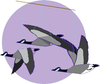 mobileset.gif